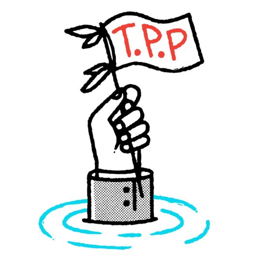 tpp-flag